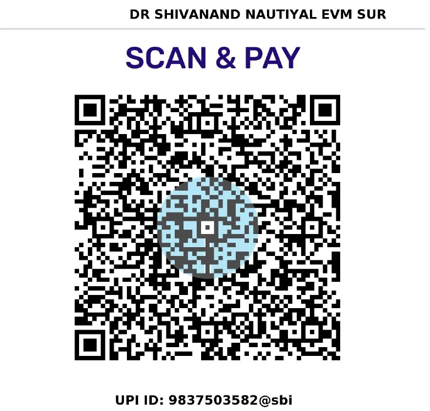 UPI QR